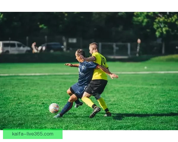 K8凯发手机版全新体验攻略助你轻松掌握娱乐与理财玩法