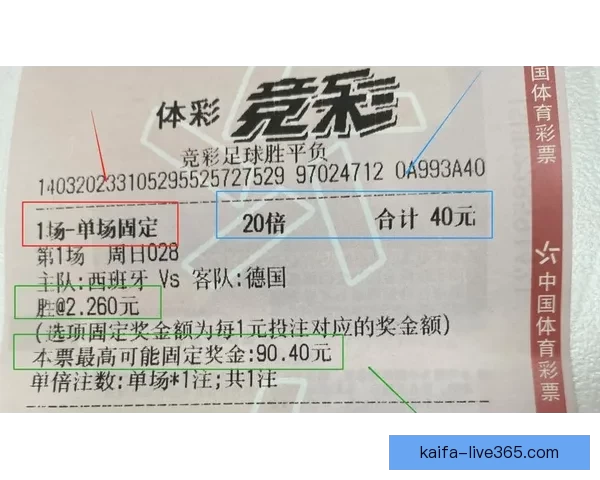 世界杯在线投注攻略 提升投注技巧赢取大奖的必备指南