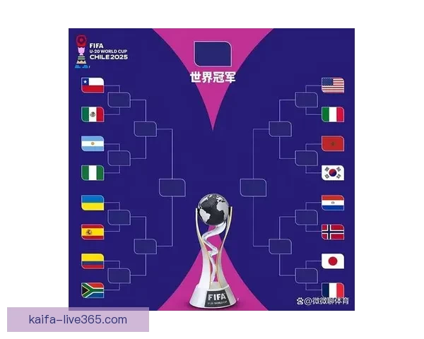 世界杯竞猜胜负全攻略让你轻松掌握比赛走势与投注技巧